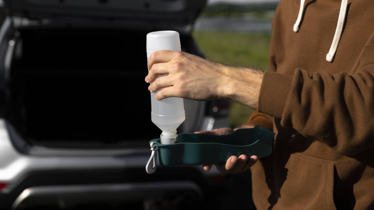 The Lifeblood of Your Car Essential Fluids Every Vehicle Owner Should Know